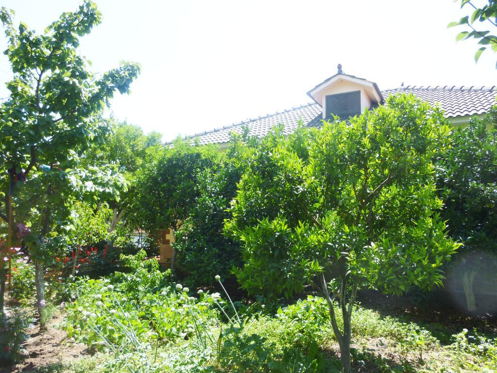Vila Altini Borsh Extérieur photo